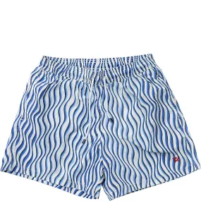 Hackett London Men's Swimming Shorts in Blue