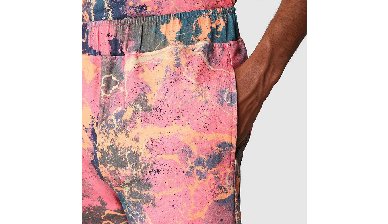 The North Face M Summer Logo Shorts